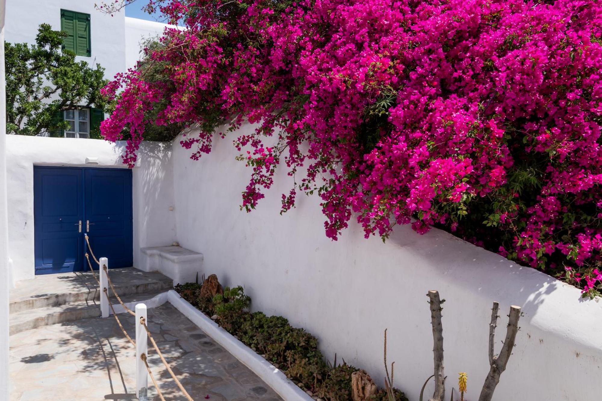 Olive Tree Mykonos Town Semi-Basement Apartment Екстериор снимка